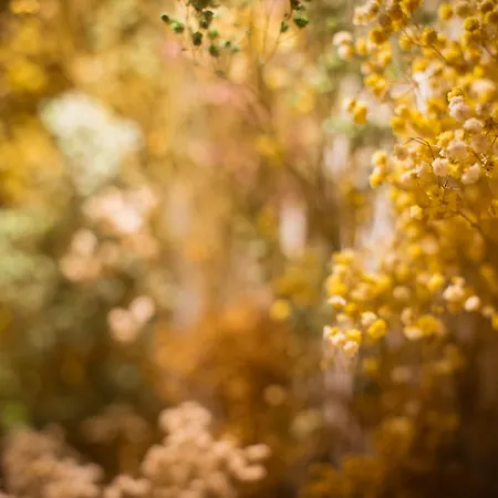 K-proa By Nuka Homes Apartment *